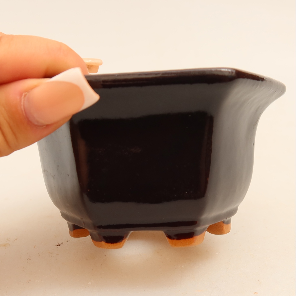 Keramik-Bonsai-Schale, 10,5 × 9,5 × 5,5 cm, Farbe: Schwarz