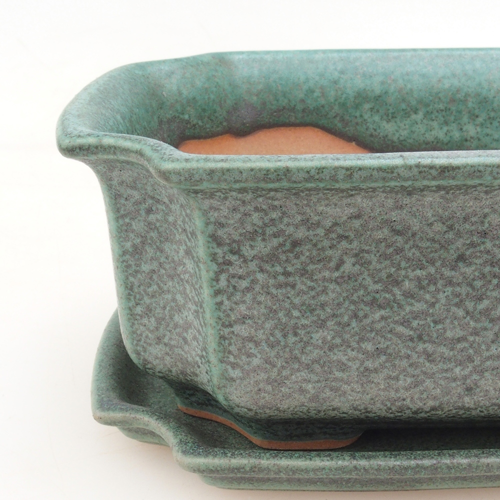 Bonsai-Schale + Untertasse H01 – Grün