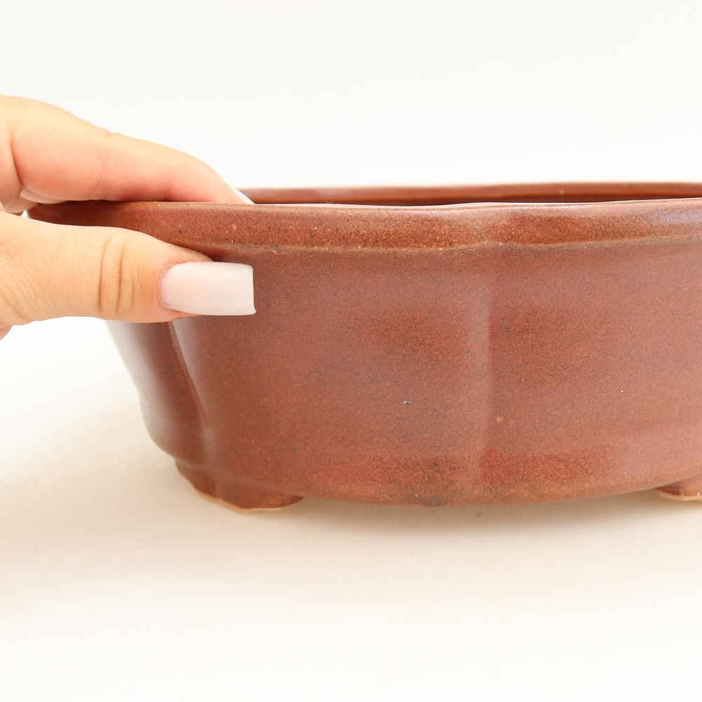 Bonsaischale aus Keramik 26 x 26 x 8 cm, bordeauxrot
