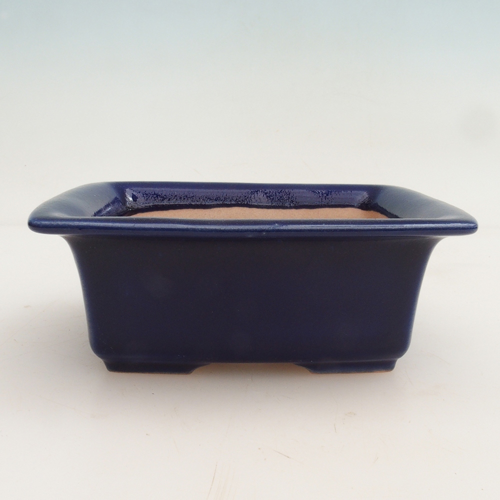 Bonsai-Schale + Untertasse H11 - 11,5 x 10 x 4 cm - Blau