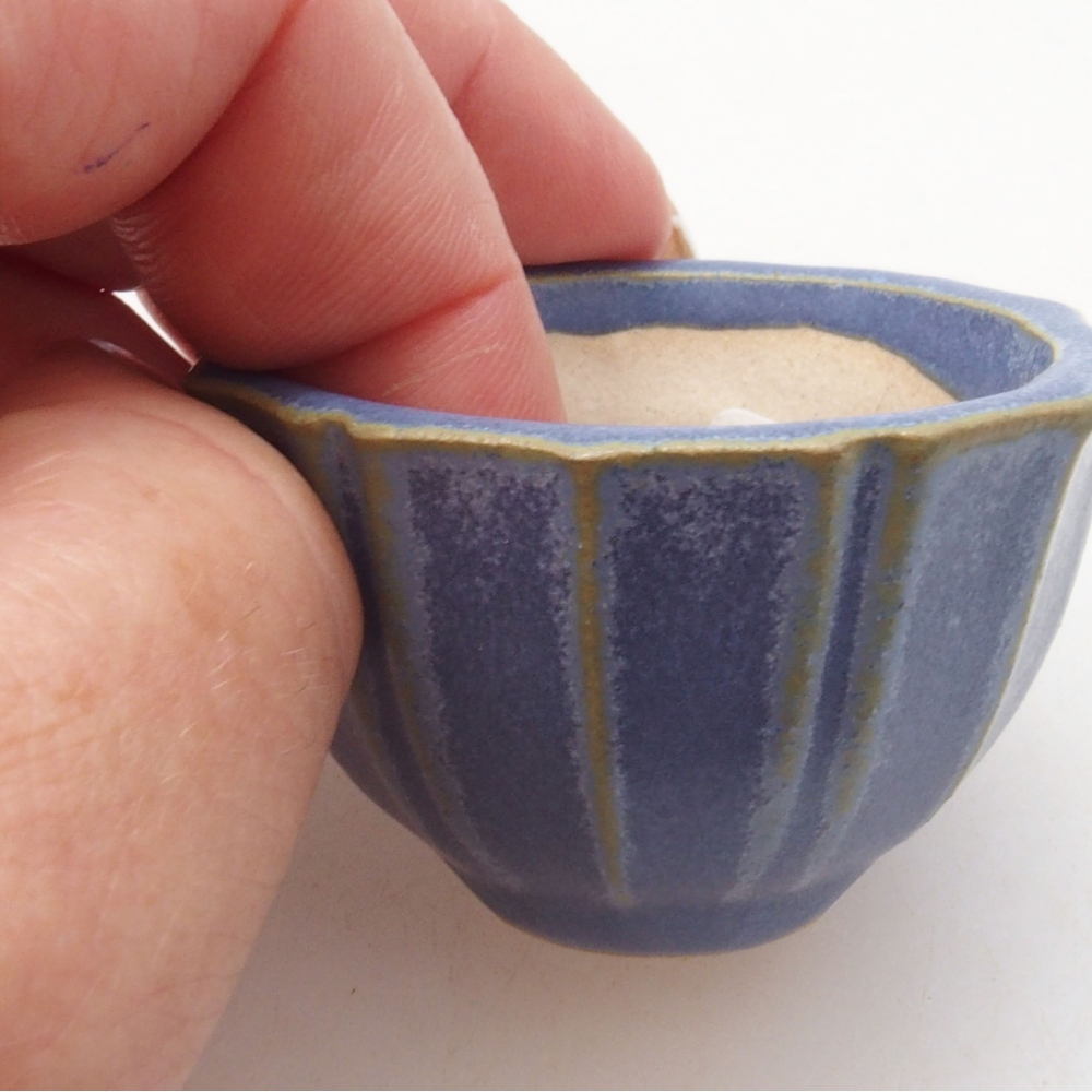 Mini-Bonsaischale 5 x 5 x 3 cm, Farbe blau