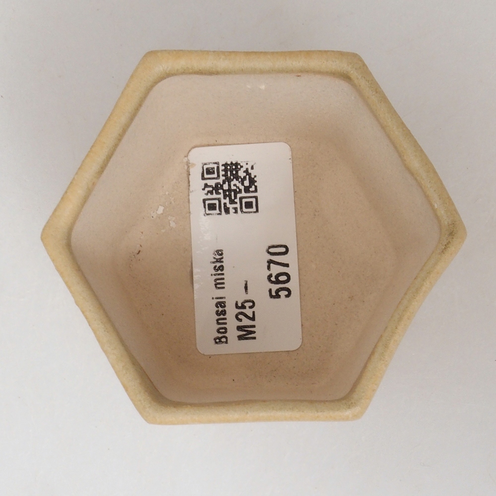 Mini-Bonsaischale 7 x 5,5 x 4,5  cm, Farbe braun