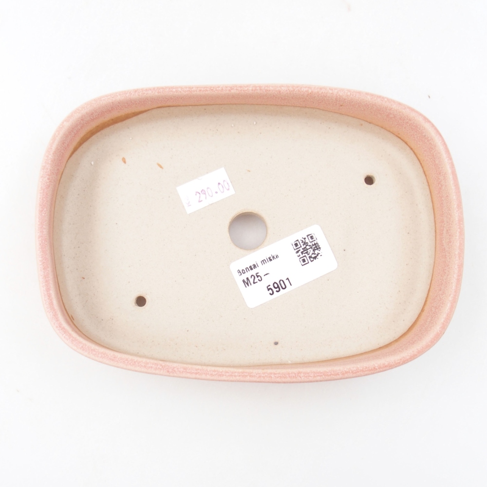 Keramik-Bonsaischale 16 x 11 x 3,5 cm, Farbe rosa