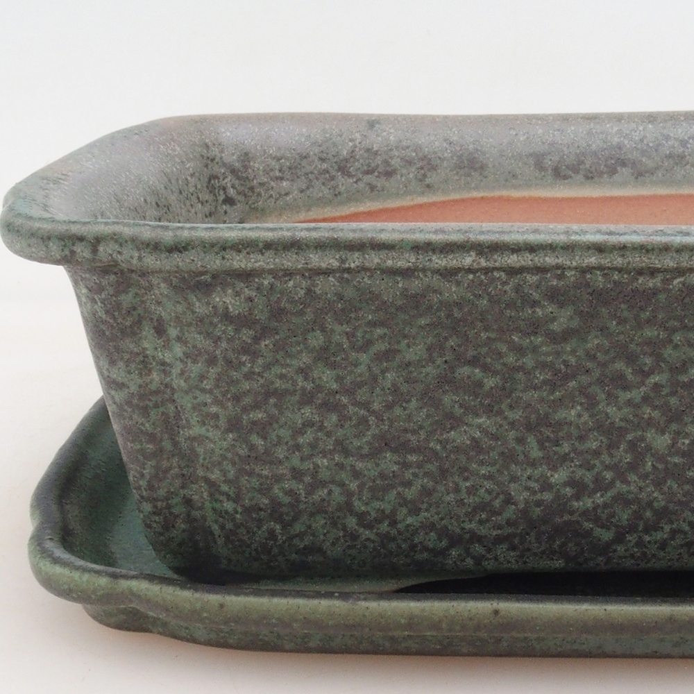 Bonsai-Schale + Untertasse H50 - grün