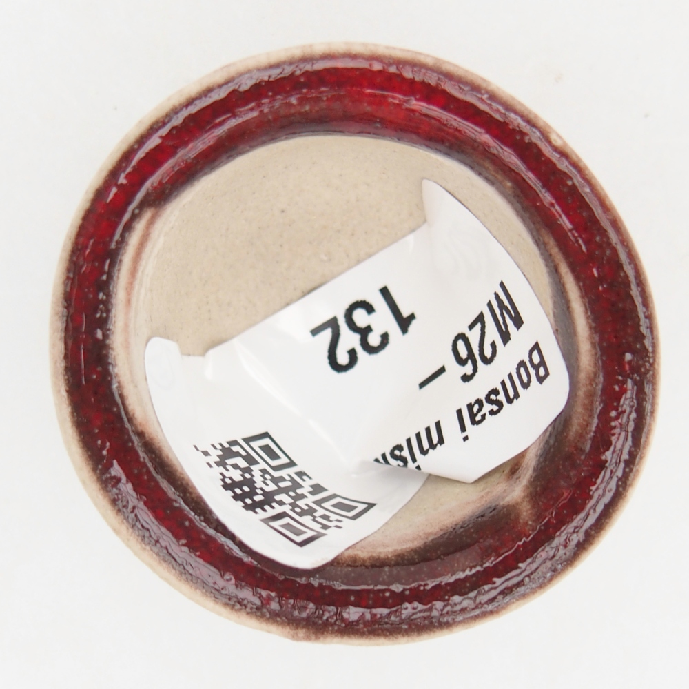 Mini-Bonsaischale 3,5 x 3,5 x 2,5 cm, Farbe rot
