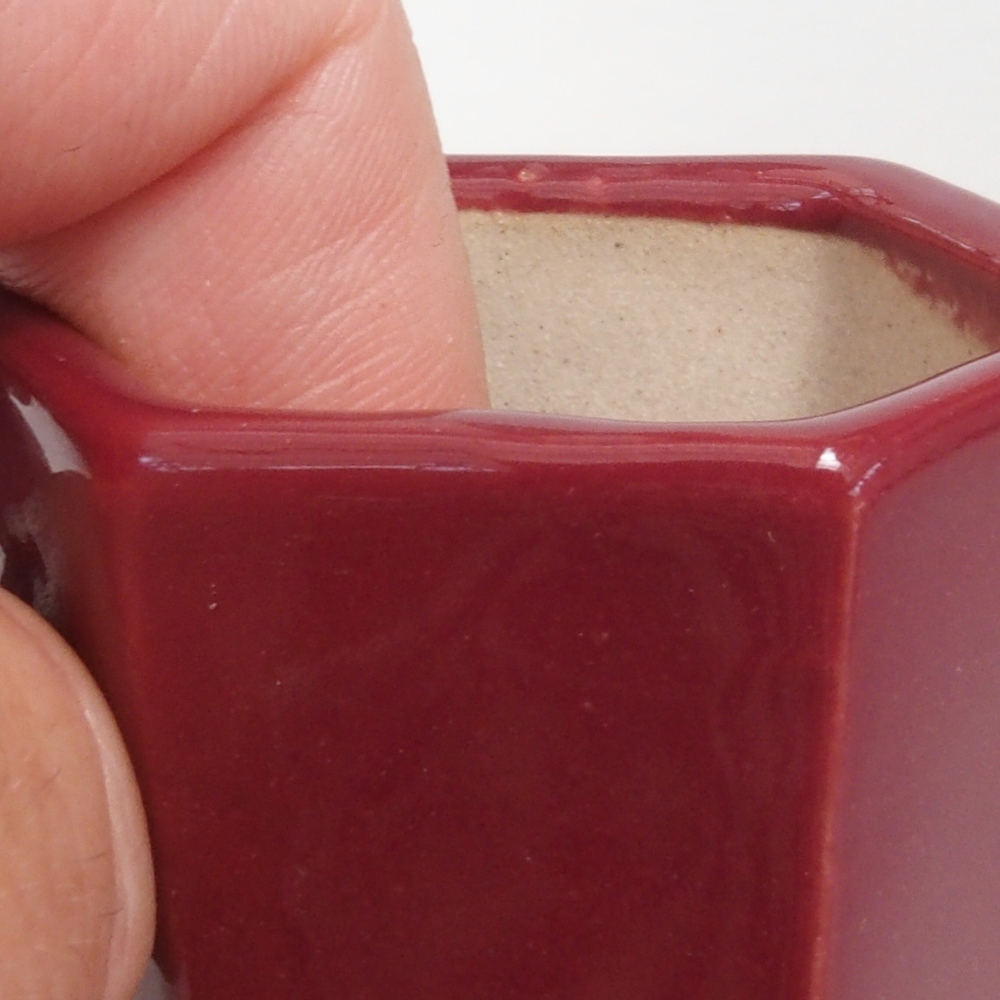Mini-Bonsaischale 4,5 x 4 x 6 cm, Farbe Burgunder