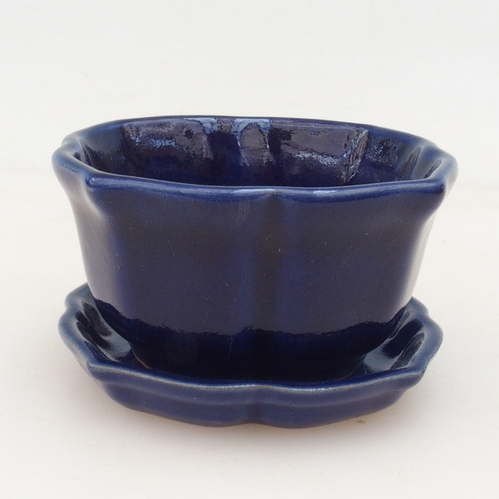Bonsai-Schale + Untertasse H95 – Blau