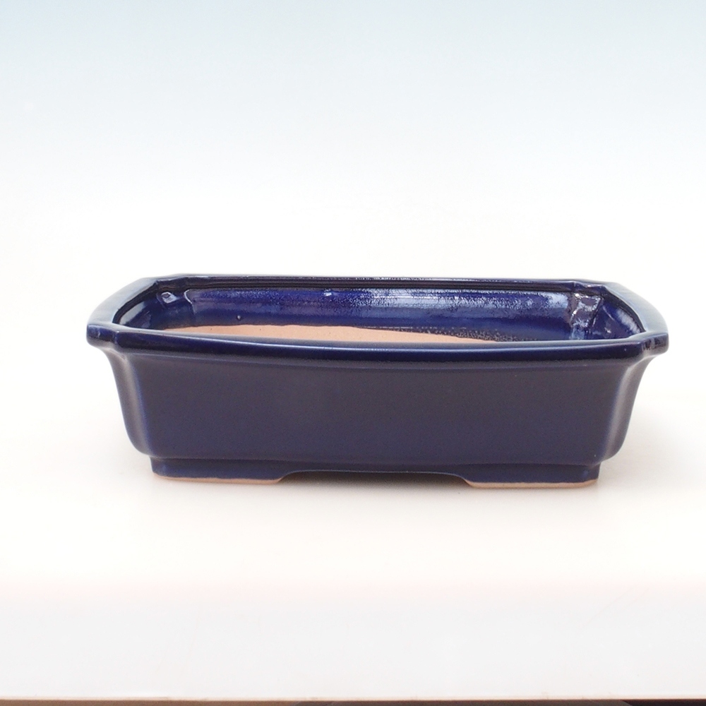 Bonsai-Schale H07 – 30 x 20,5 x 8 cm – blau