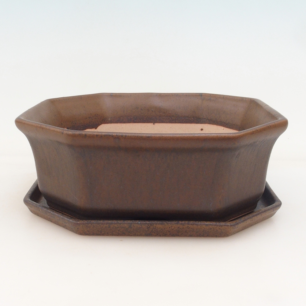 Bonsai-Schale + Schale H14 - braun