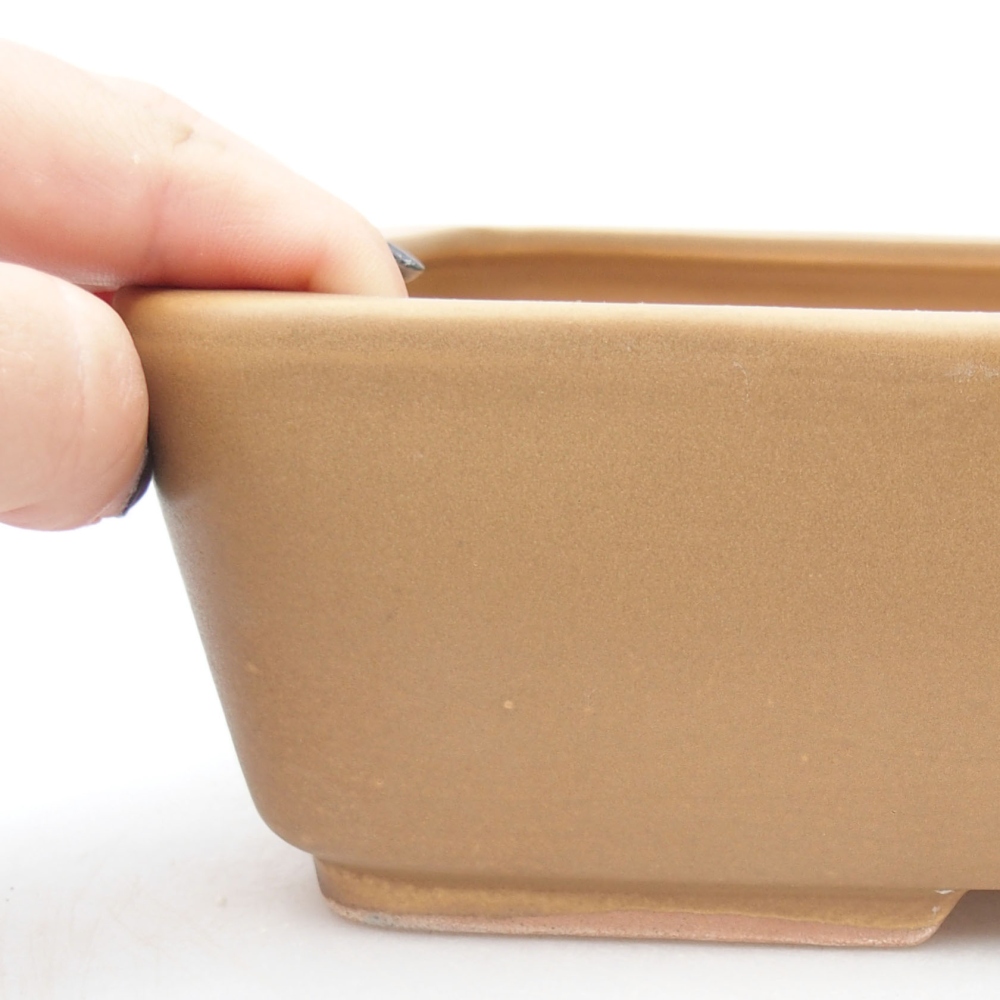 Keramik-Bonsaischale 27 x 20,5 x 7 cm, Farbe Beige
