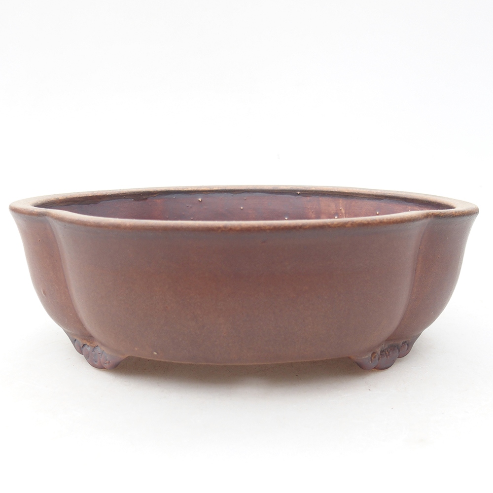 Keramik-Bonsaischale 17 x 15,5 x 5,5 cm, Farbe braun
