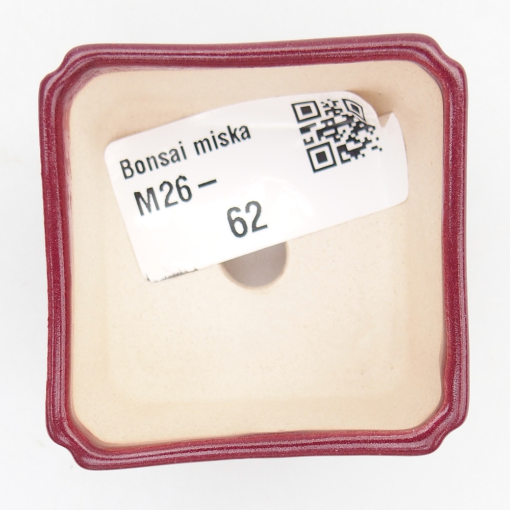 Mini-Bonsaischale 5 x 5 x 3 cm, bordeauxrot
