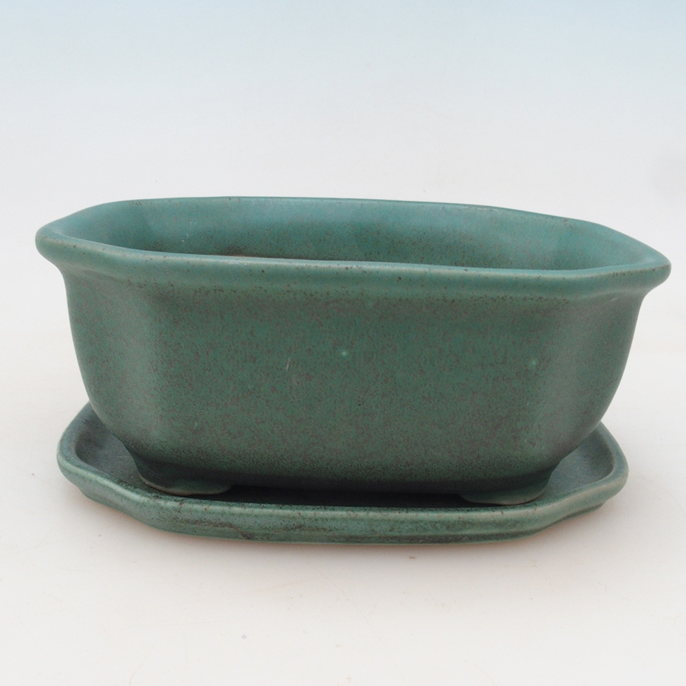 Bonsai-Schale + Untertasse H31 – Grün