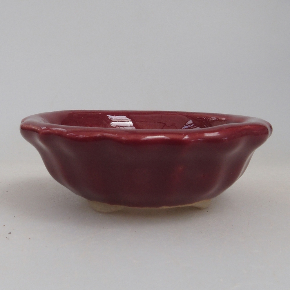 Mini-Bonsaischale 5 x 5 x 1,5 cm, Farbe Burgunder