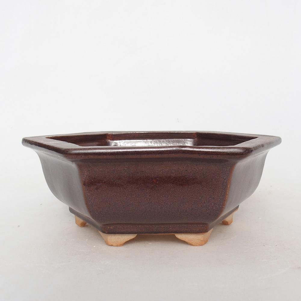 Keramik-Bonsaischale 17 x 15 x 6 cm, braun Farbe