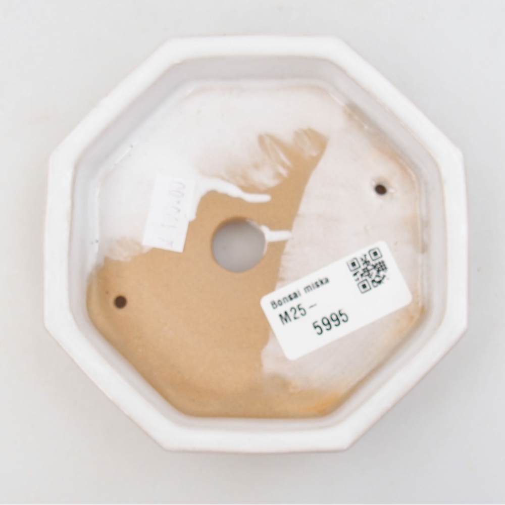 Keramik-Bonsaischale 11,5 x 11,5 x 2,5 cm, Farbe Weiß