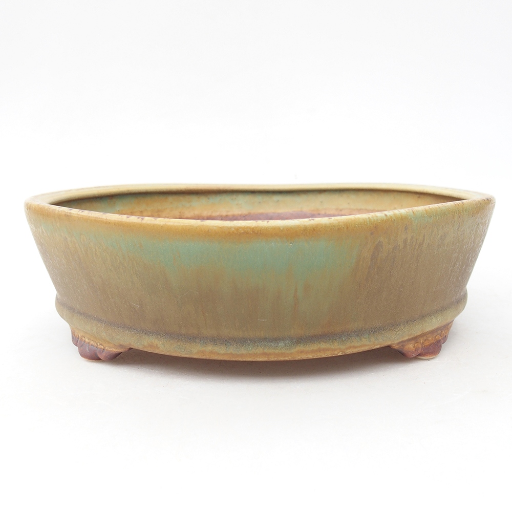 Keramik-Bonsaischale 21,5 x 21,5 x 6 cm, Farbe Grün