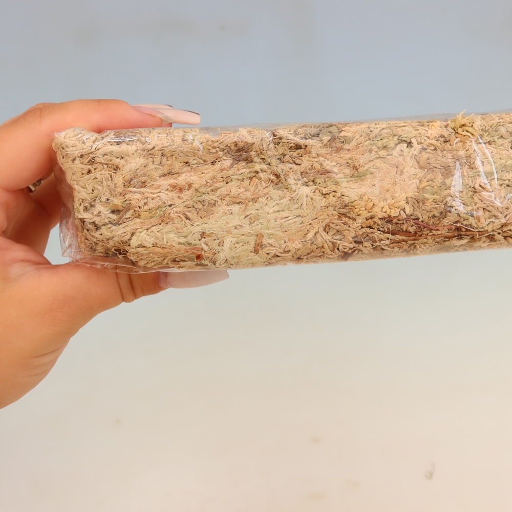 Sphagnum – Torfmoos 150 g