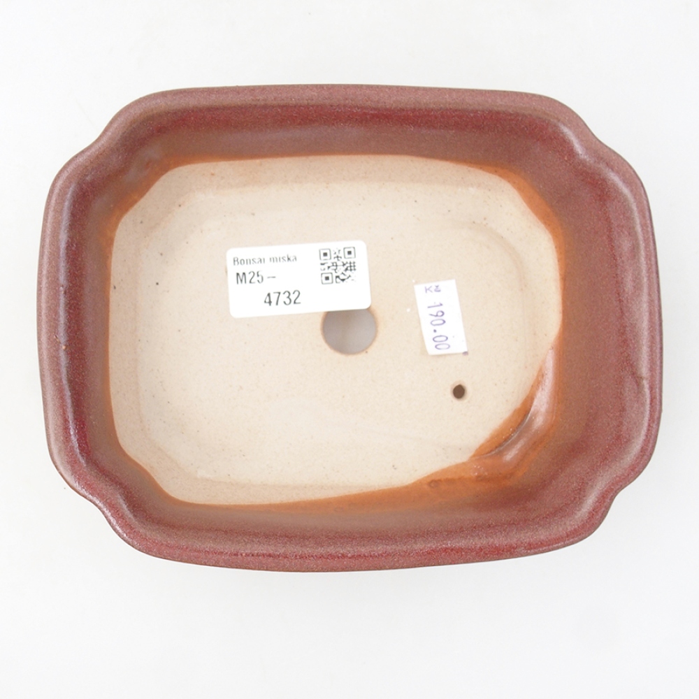 Keramik-Bonsaischale 16 x 12 x 5 cm, Farbe braun