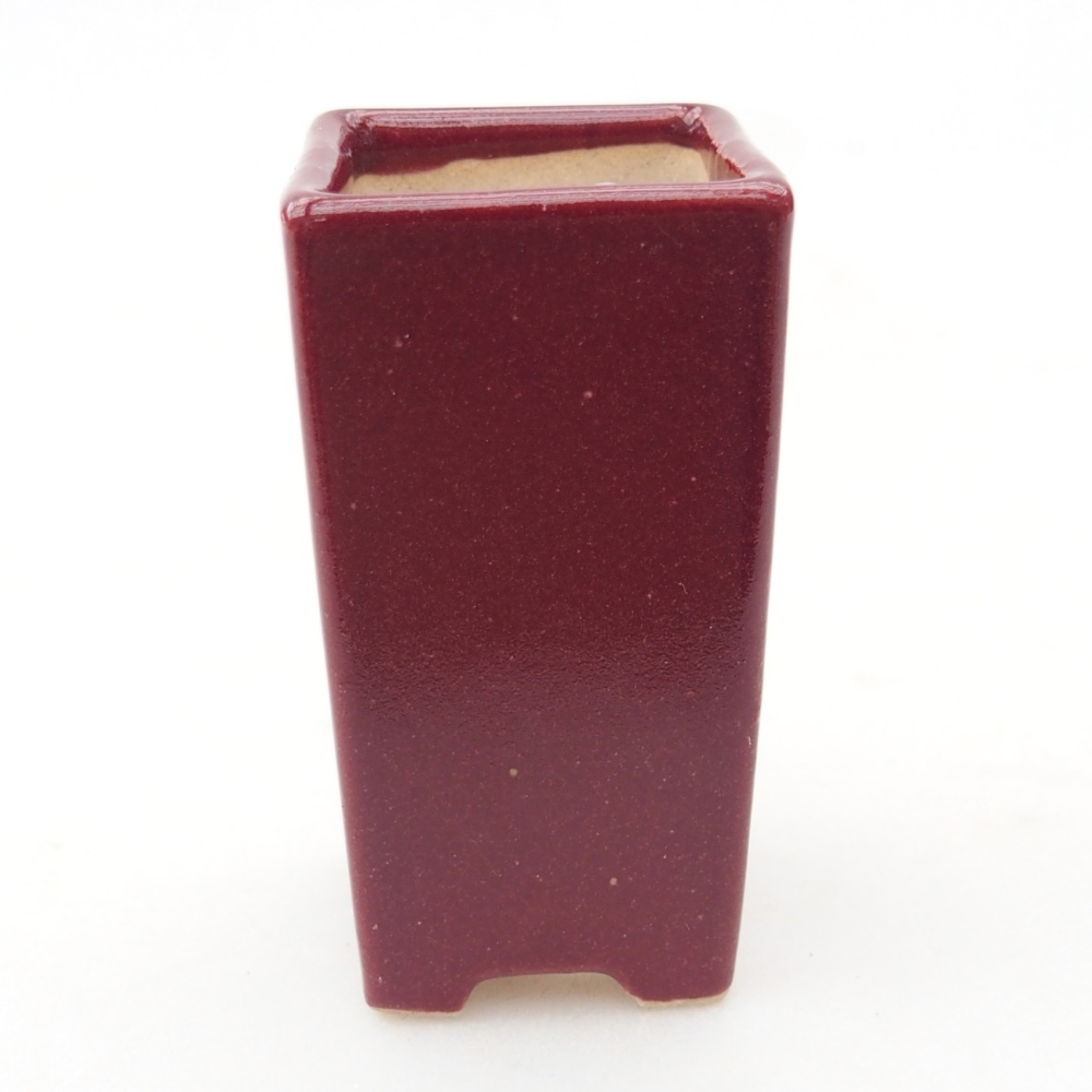 Mini-Bonsaischale 3 x 3 x 5,5 cm, bordeauxrot