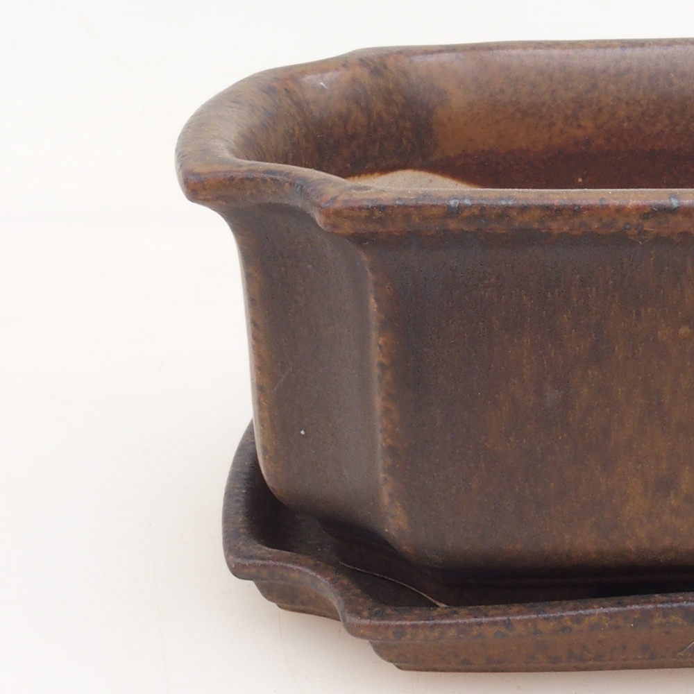 Bonsai-Schale + Untertasse H01 – Braun