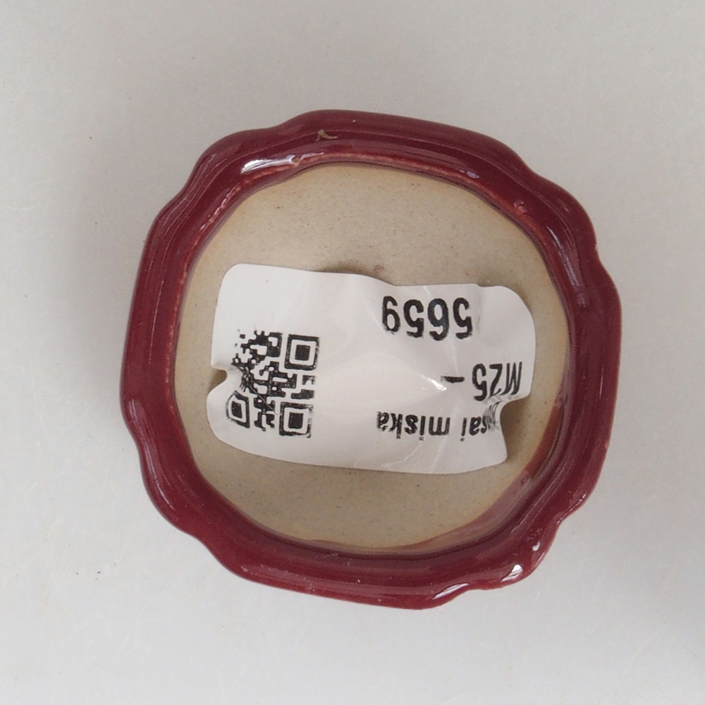 Mini-Bonsaischale 4,5 x 4,5 x 2,5 cm, Farbe Burgunder