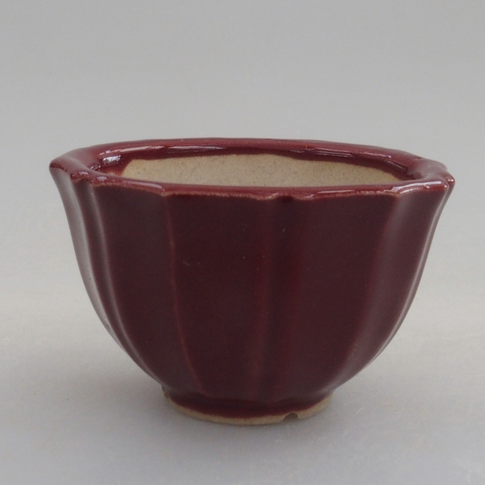 Mini-Bonsaischale 5 x 5 x 3 cm, Farbe Burgunder