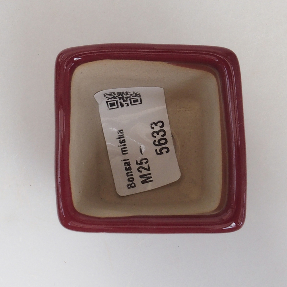 Mini-Bonsaischale 4,5 x 4,5 x 4,5 cm, Farbe Burgunder