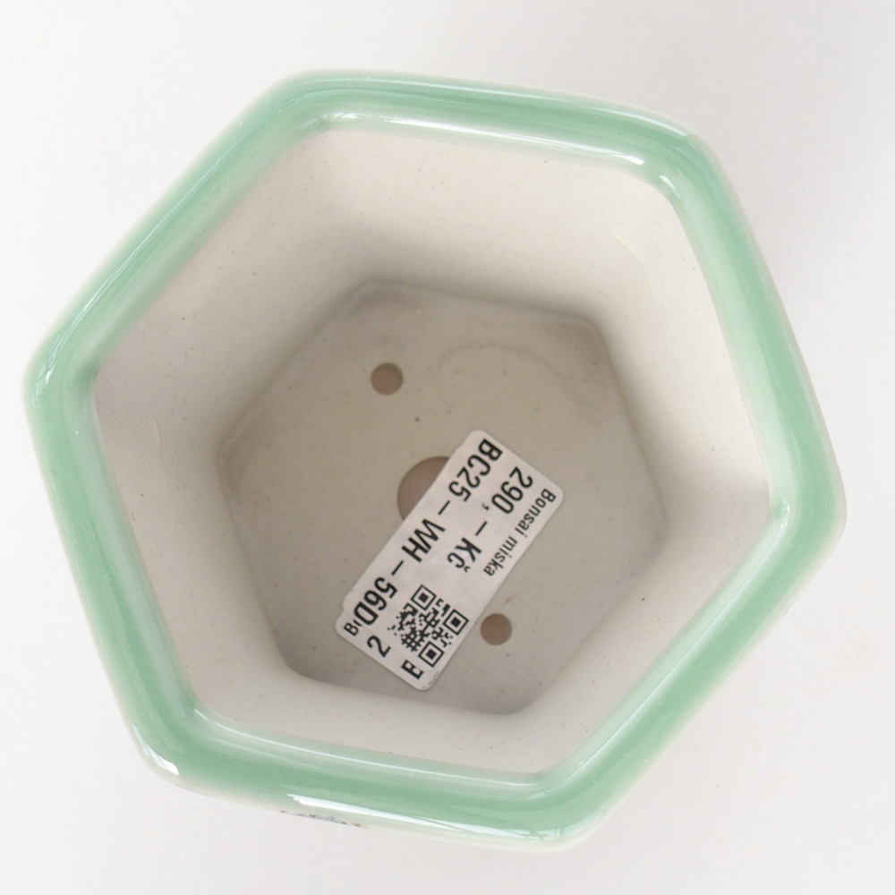 Bonsaischale aus Keramik 10,5 x 9,5 x 8,5 cm, grün