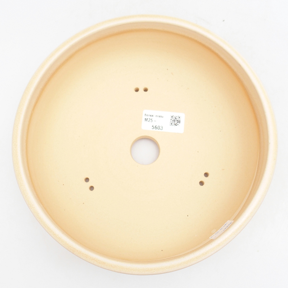 Keramik-Bonsai-Schale 21,5 x 21,5 x 7 cm, Farbe beige