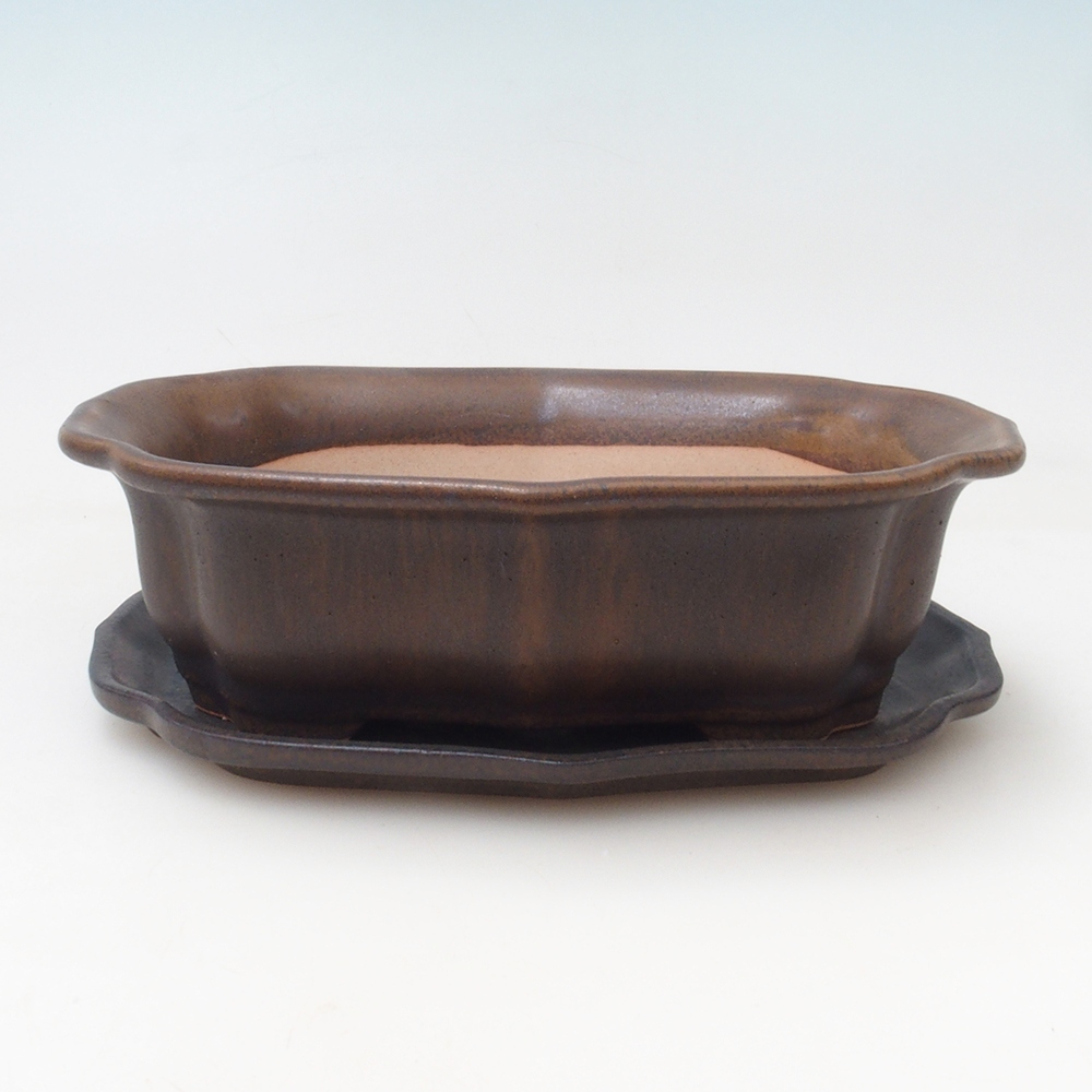 Bonsai-Schale + Untertasse H01 – 12 x 9 x 5 cm