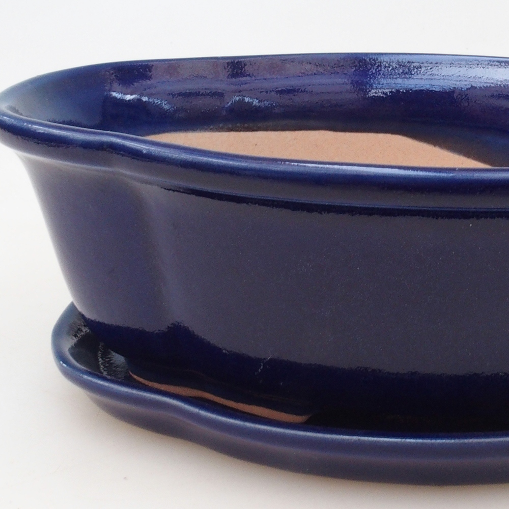 Bonsai-Schale + Untertasse H75 – Blau