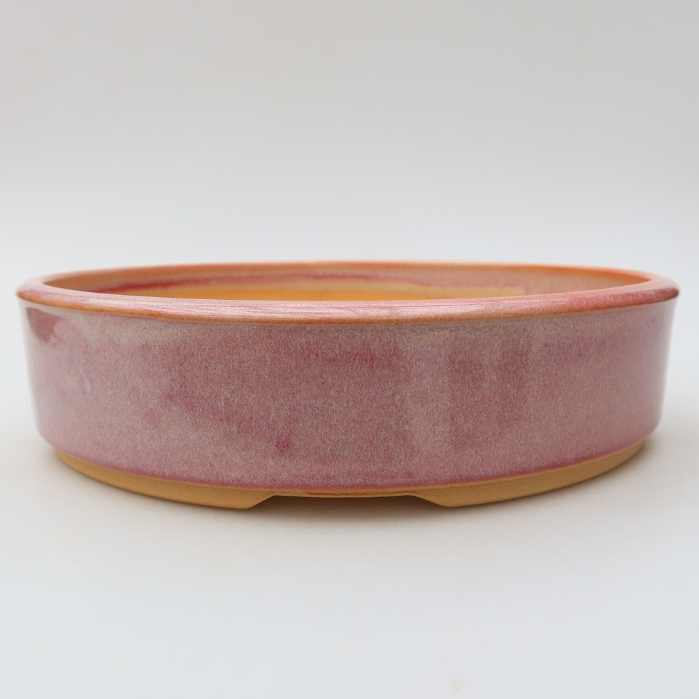 Keramik-Bonsai-Schale, 24 x 24 x 6 cm, Farbe: Rosa