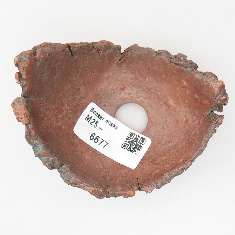 Keramische Muschel 10 x 8 x 6 cm, Farbe grün