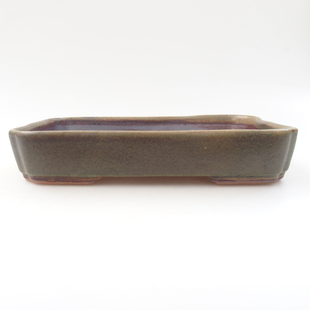 Keramik-Bonsaischale 18 x 13 x 3,5 cm, Farbe Grün