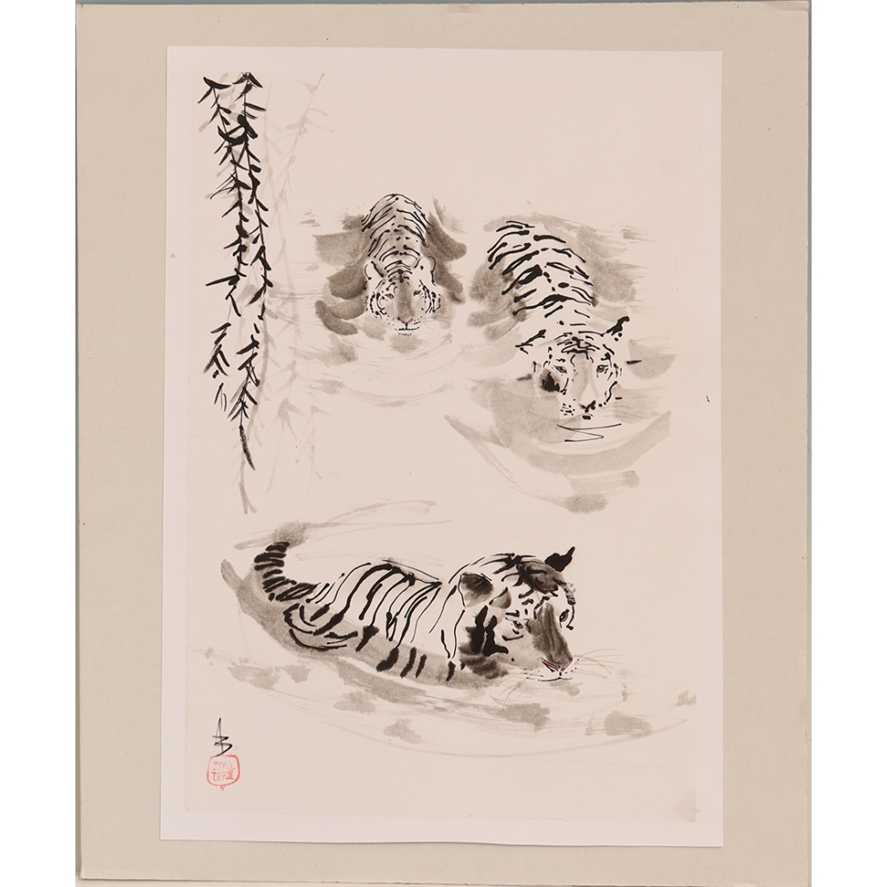 Kalligraphie – Das Baden der Tiger