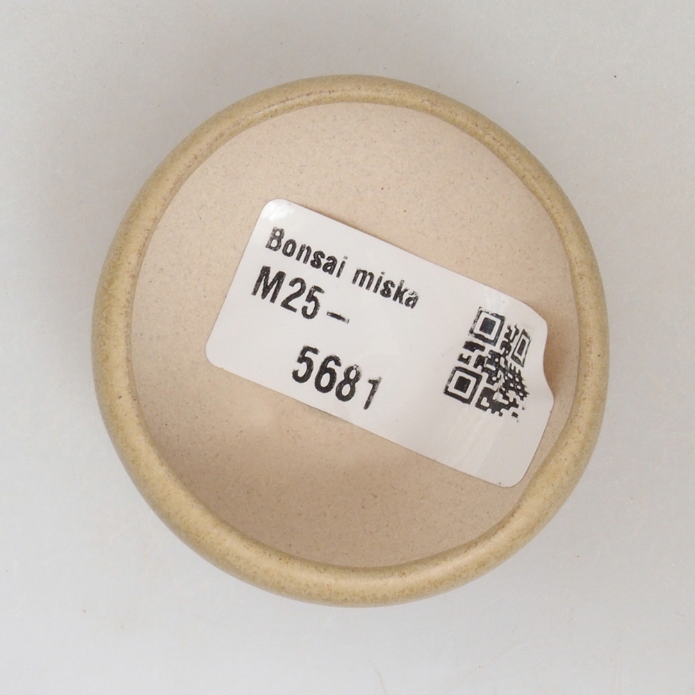 Mini-Bonsaischale 5 x 5 x 2  cm, Farbe braun