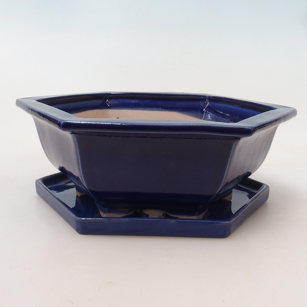 Bonsai-Schale + Unterschale H53 – 19 x 21,5 x 7 cm. – blau