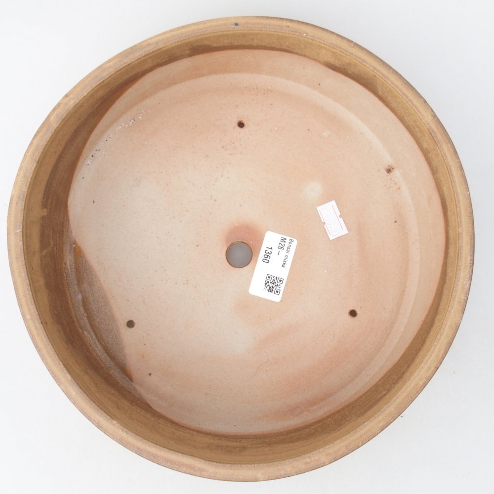 Bonsaischale aus Keramik 24,5 x 24,5 x 7 cm, Farbe beige