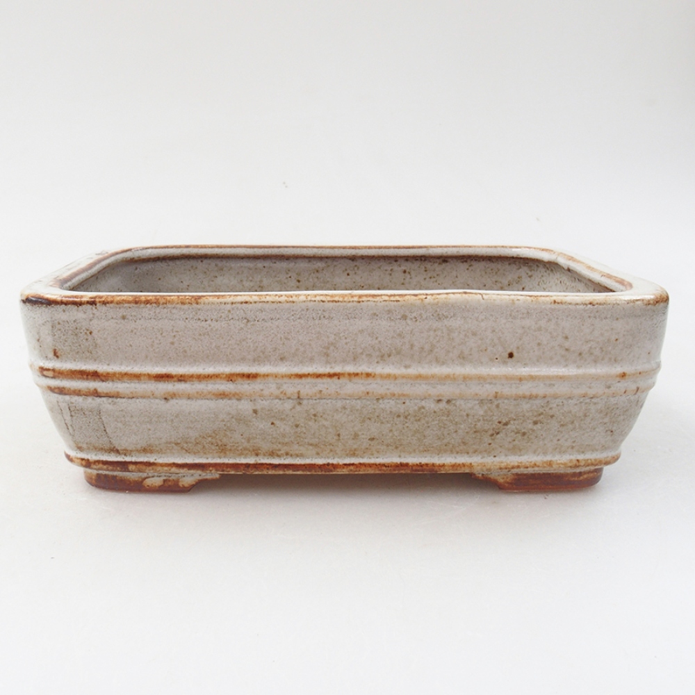 Keramik-Bonsaischale 17 x 12 x 5,5 cm, Farbe Weiß