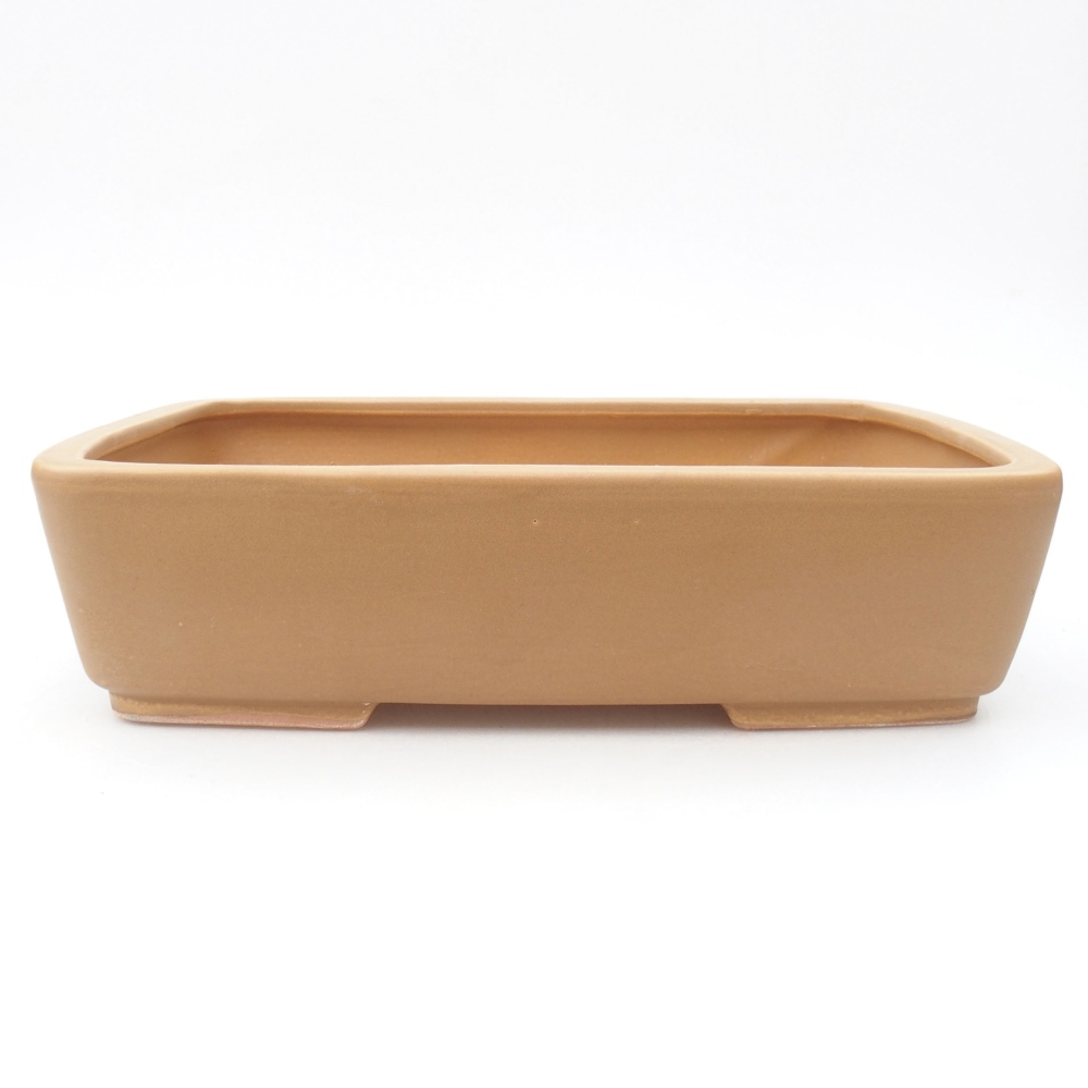 Keramik-Bonsaischale 27 x 20,5 x 7 cm, Farbe Beige