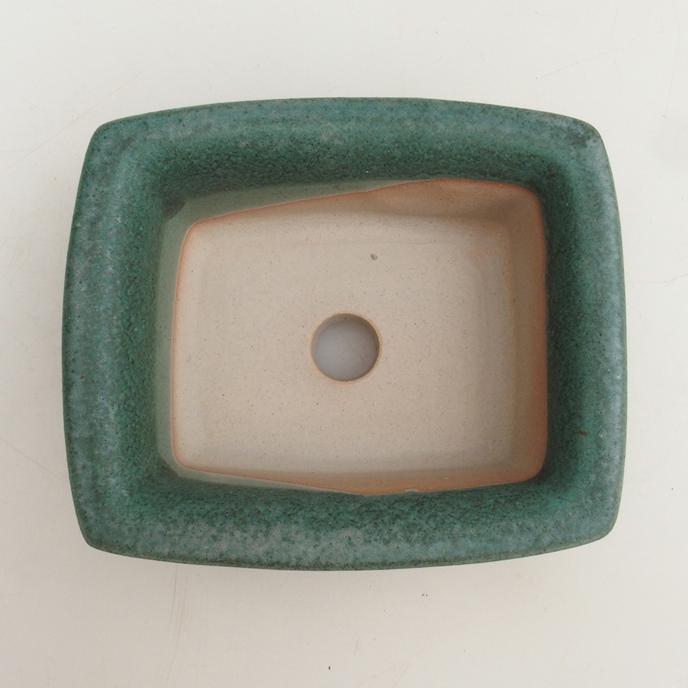 Bonsai-Schale H11 - 11,5 x 10 x 4 cm - grün