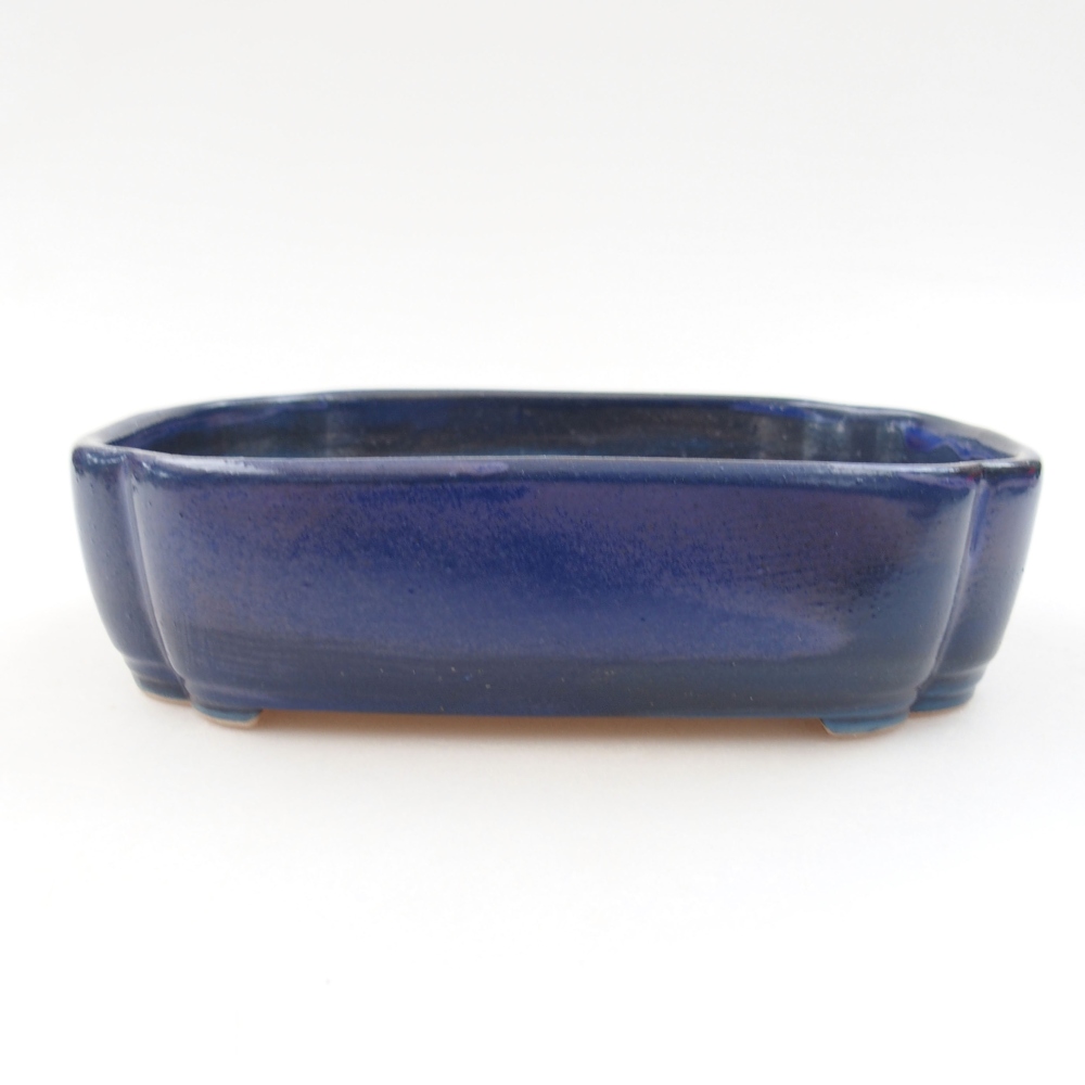 Keramik-Bonsaischale 16 x 12 x 4,5 cm, Farbe blau