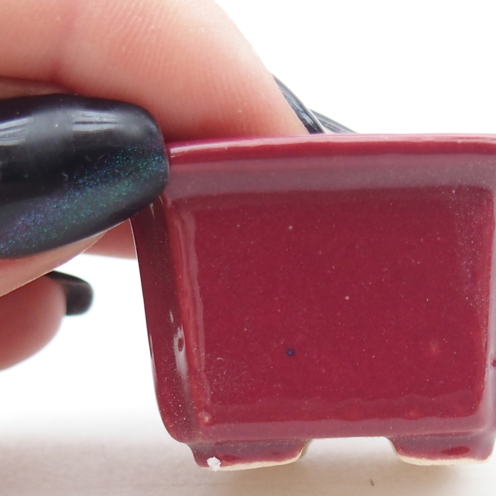 Mini-Bonsaischale 3,5 x 3,5 x 2 cm, bordeauxrot