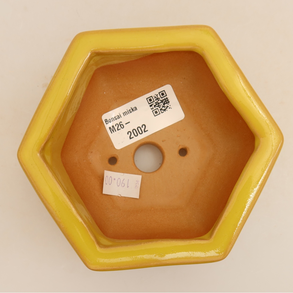 Keramik-Bonsai-Schale 12 x 10,5 x 4 cm, Farbe: gelb