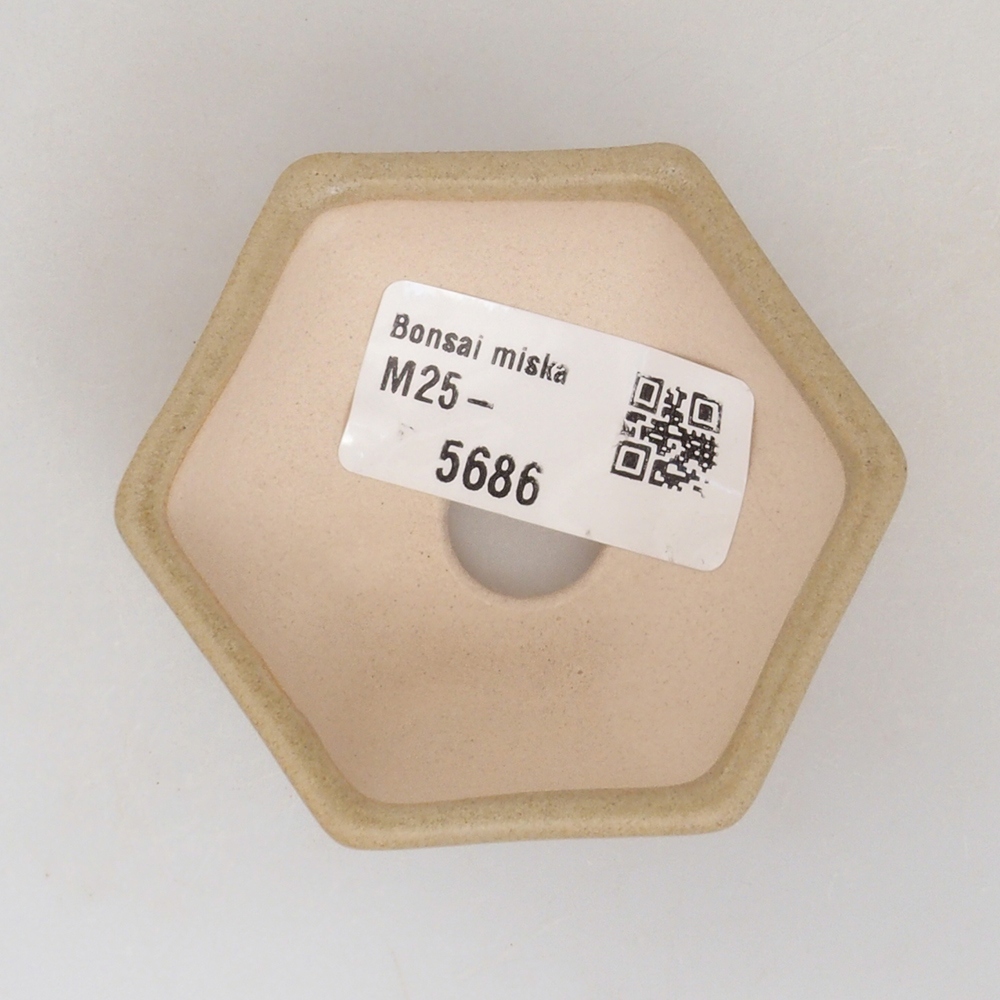 Mini-Bonsaischale 6,5 x 6 x 2,5  cm, Farbe braun