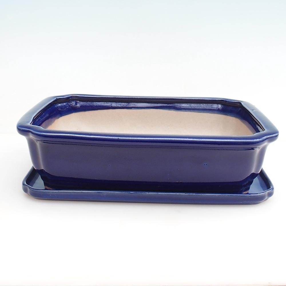 Bonsaischale + Untertasse H20 - 26,5 x 21,5 x 6,5 cm.