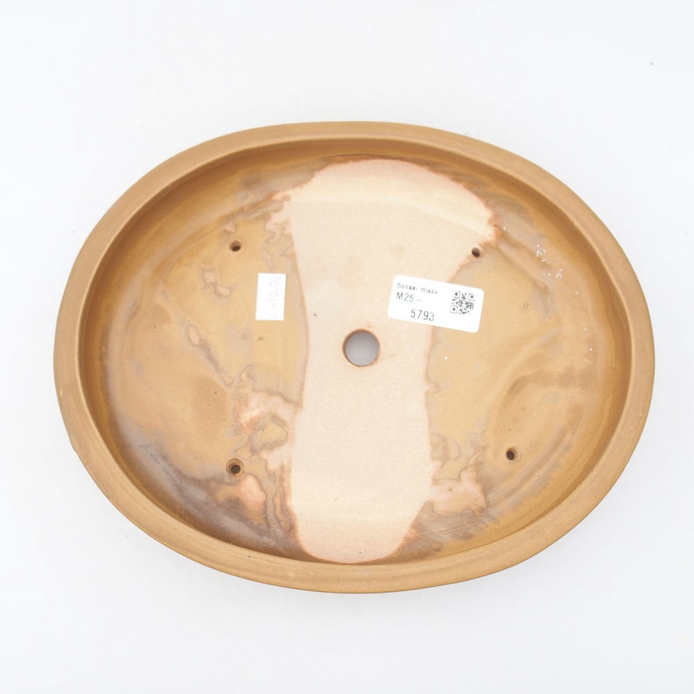 Keramik-Bonsaischale 25 x 20 x 4 cm, Farbe beige