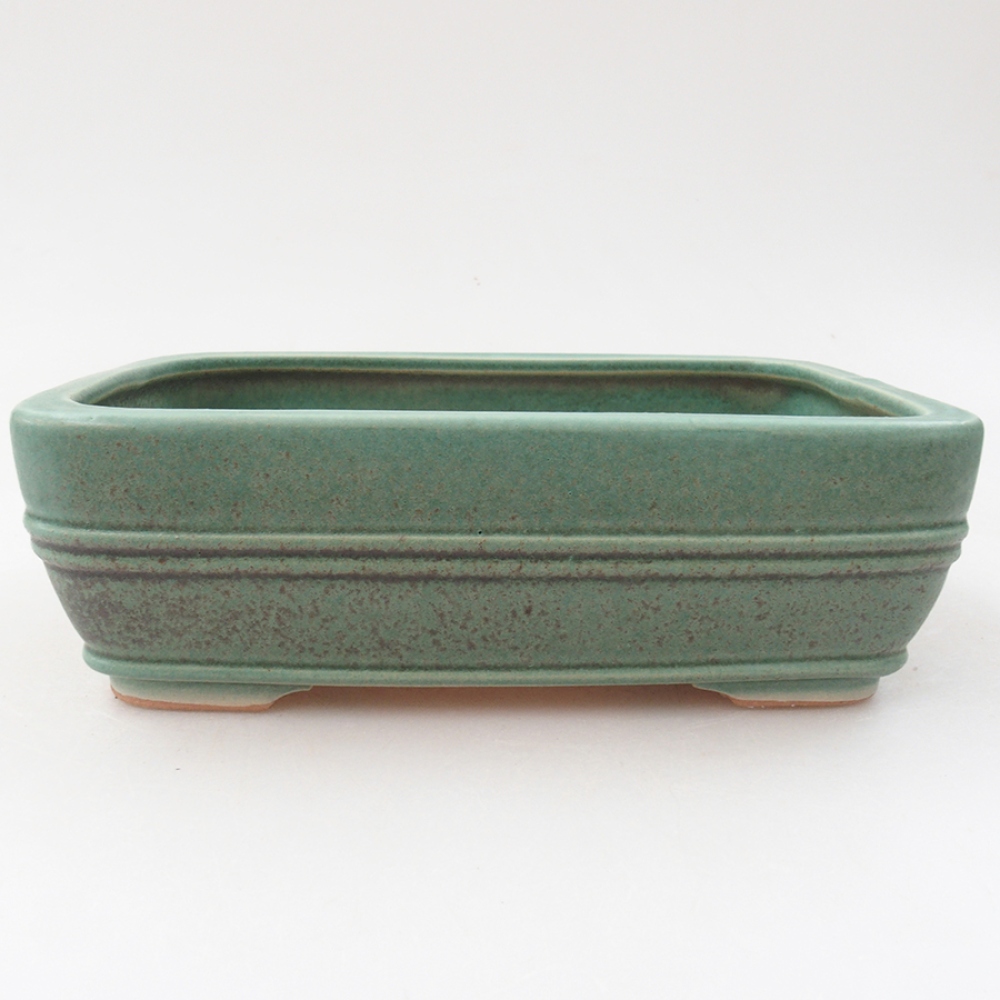 Keramik-Bonsaischale 17 x 12 x 5,5 cm, Farbe Grün