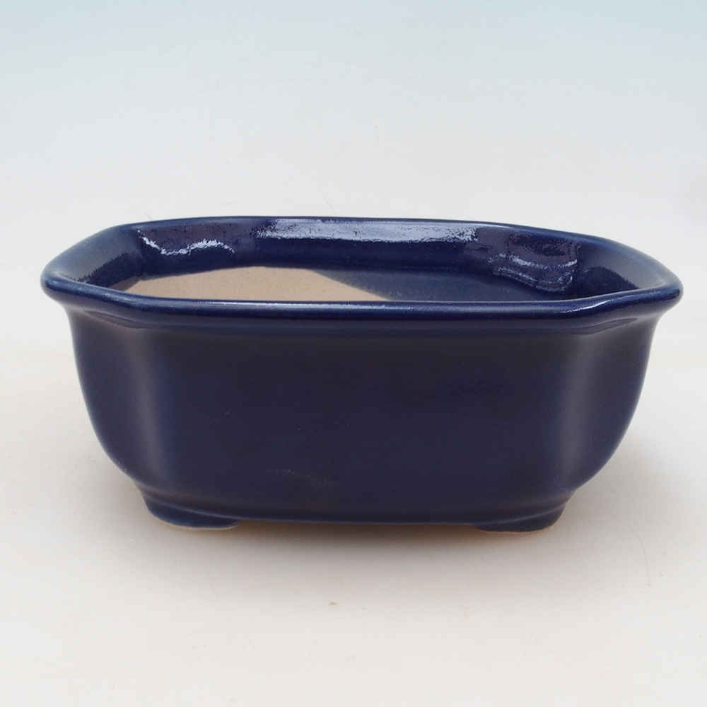 Bonsai-Schale + Untertasse H31 – Blau